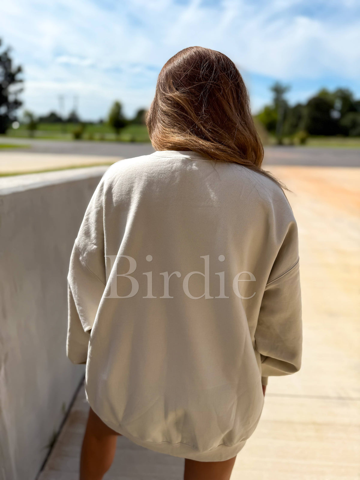 Duck Camo Bow Sand Graphic Crewneck