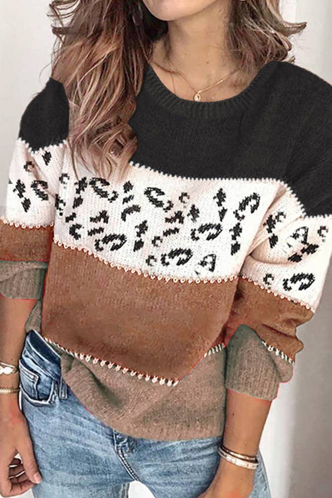 Leopard Print Color Block Long Sleeve Sweater